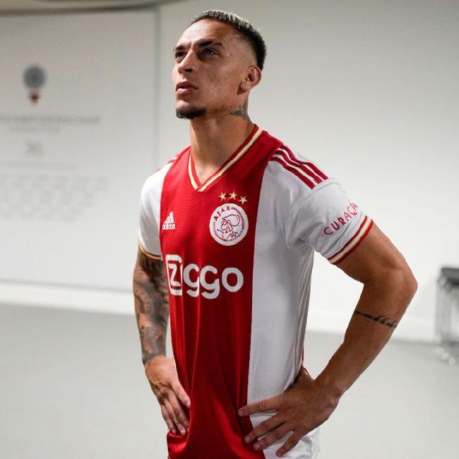 完结完整版观看