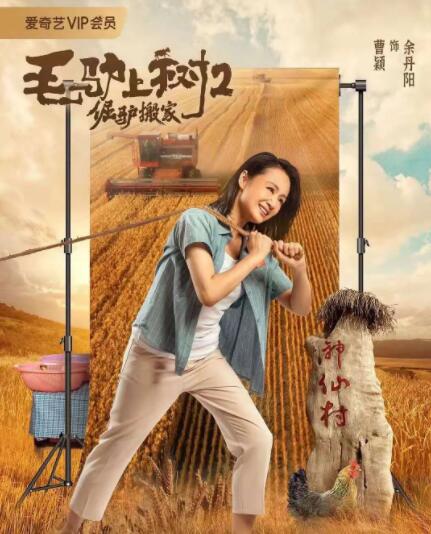 清晰在线播放观看