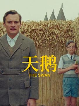 字幕全集免费观看