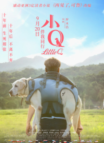 1080P手机在线看